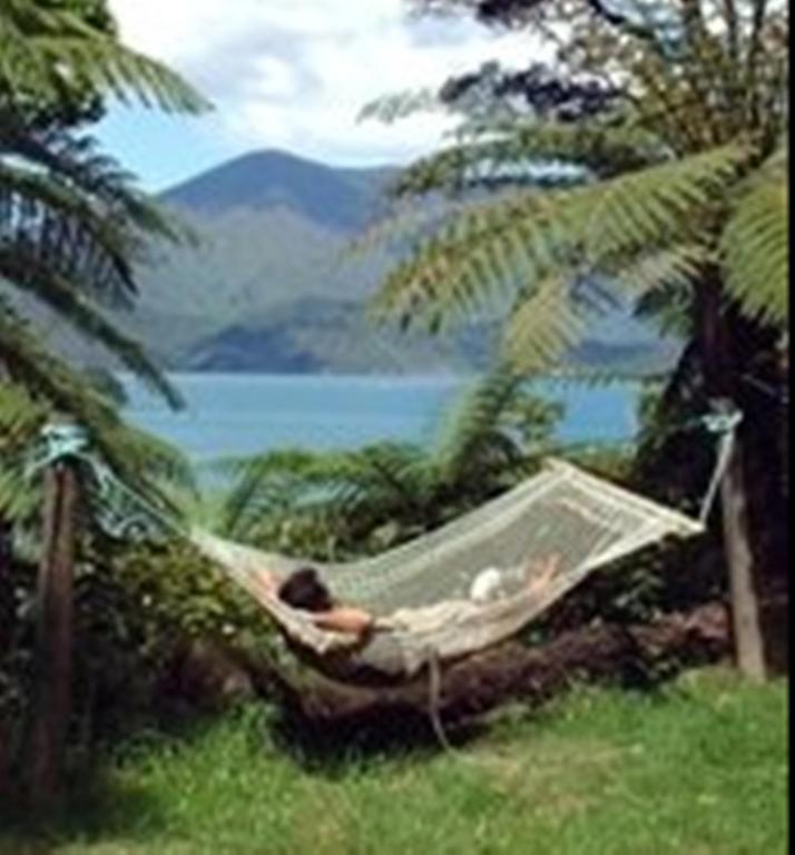 Lochmara Lodge - 20Mins By Boat From Picton Lochmara Bay Eksteriør billede