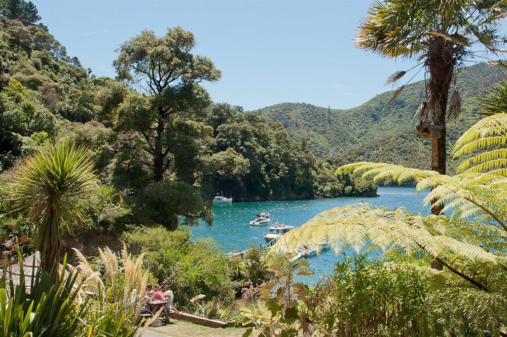 Lochmara Lodge - 20Mins By Boat From Picton Lochmara Bay Eksteriør billede