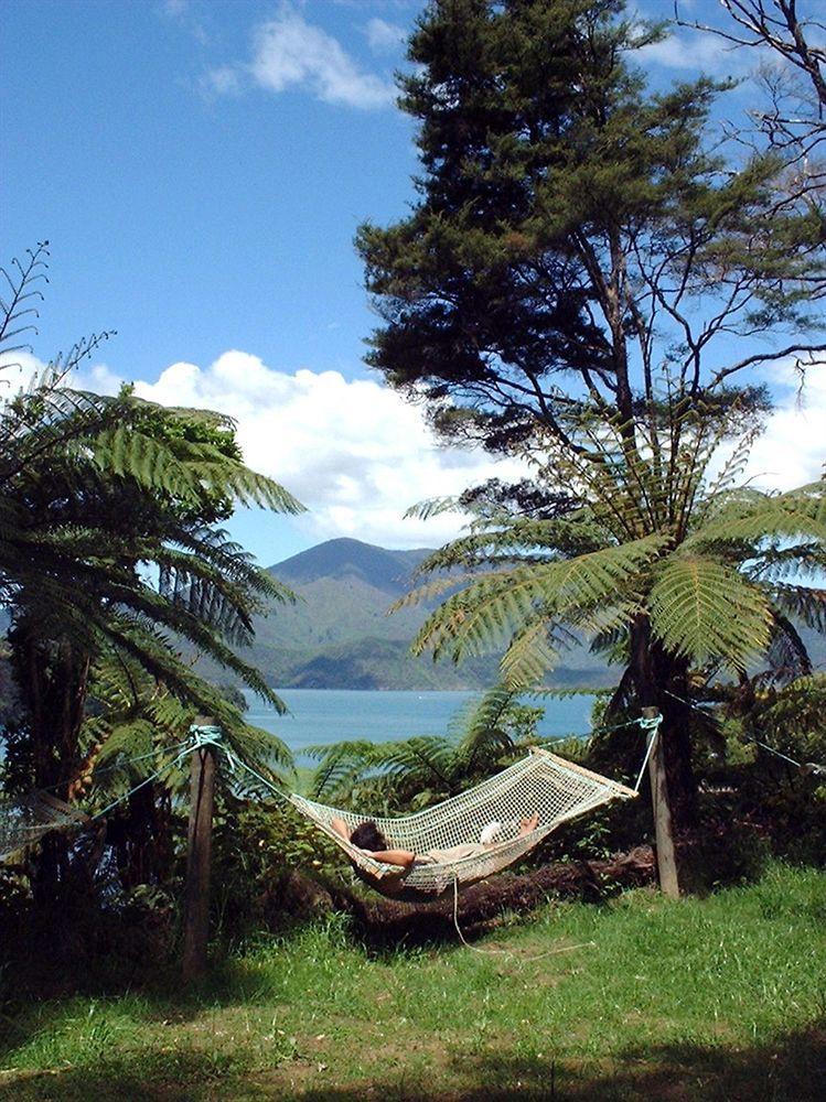 Lochmara Lodge - 20Mins By Boat From Picton Lochmara Bay Eksteriør billede