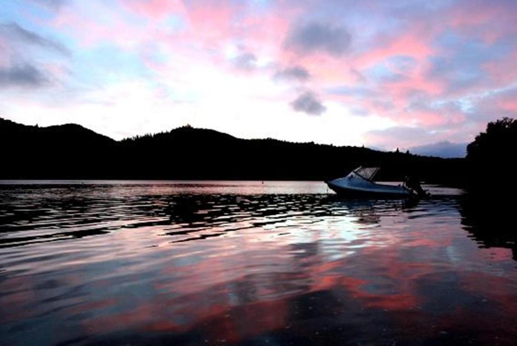 Lochmara Lodge - 20Mins By Boat From Picton Lochmara Bay Eksteriør billede