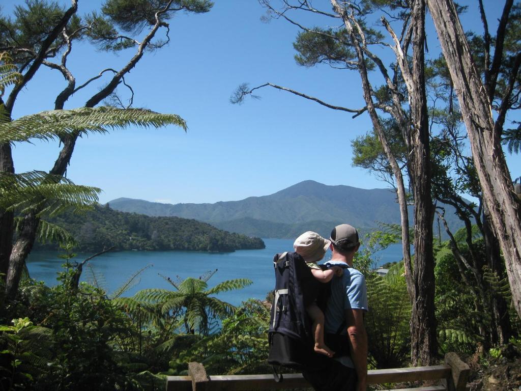 Lochmara Lodge - 20Mins By Boat From Picton Lochmara Bay Eksteriør billede